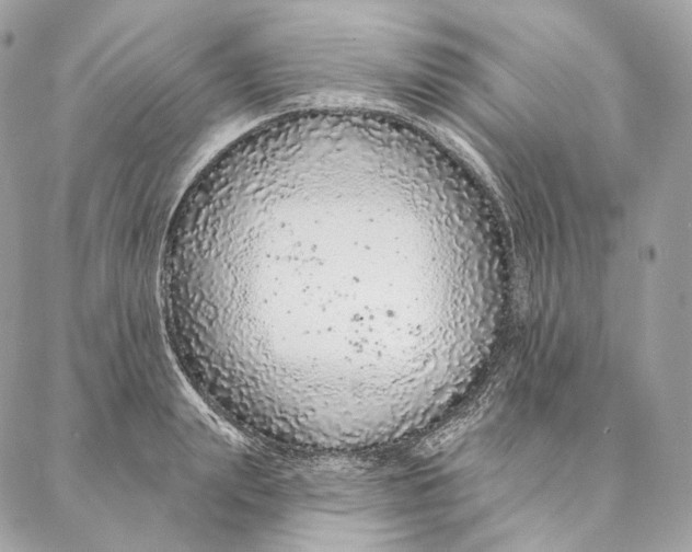 X0000087380847200705111733