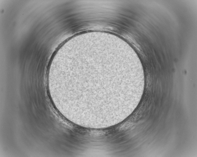 X0000087380848200705111733