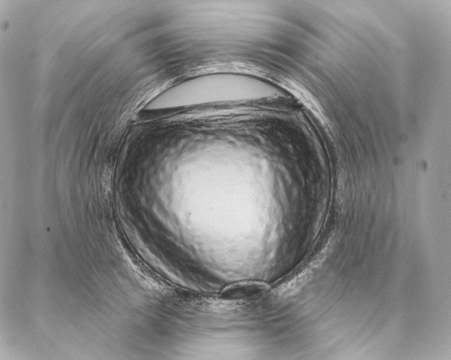 X0000087380849200705111733