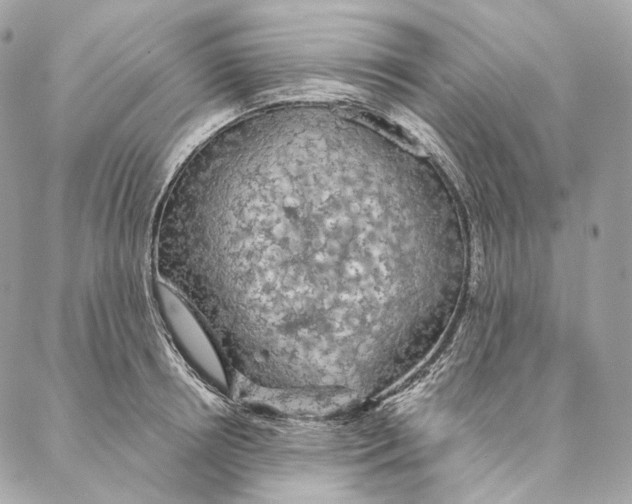 X0000087380850200705111734