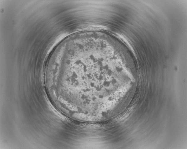 X0000087380851200705111734