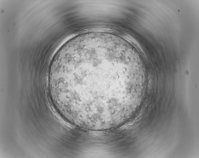 X0000087380852200705111734