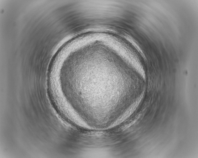 X0000087380853200705111734