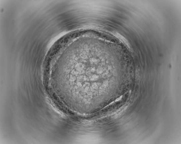 X0000087380854200705111734