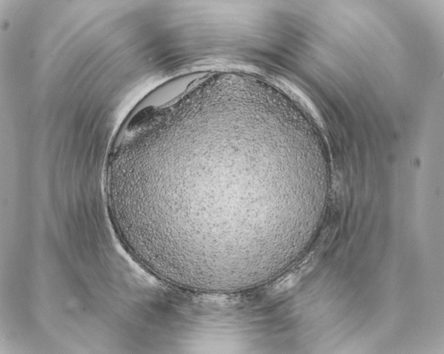 X0000087380855200705111734