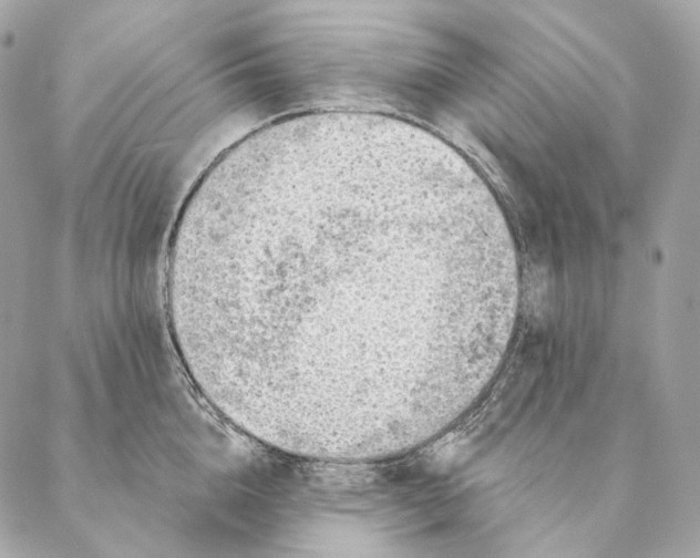 X0000087380856200705111734