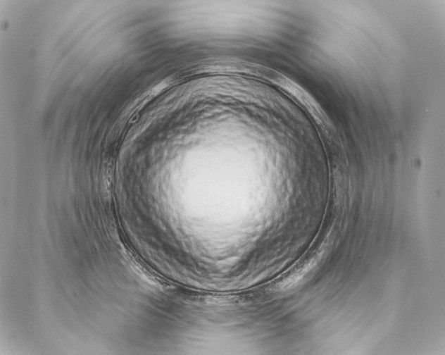 X0000087380857200705111734