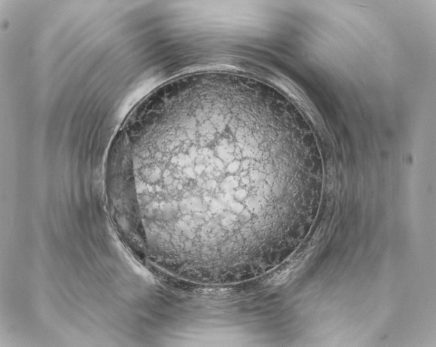 X0000087380858200705111734