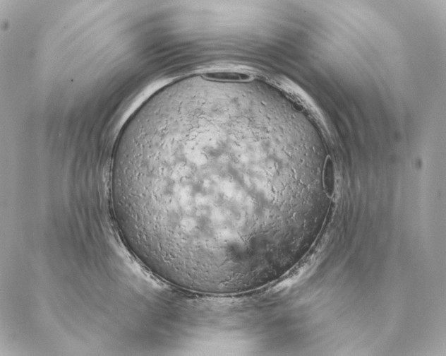 X0000087380860200705111734