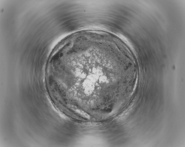 X0000087380862200705111734