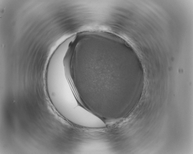 X0000087380864200705111734