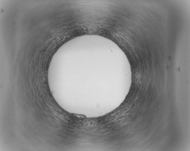 X0000087380865200705111733