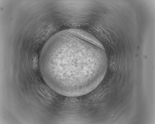 X0000087380866200705111733