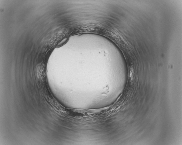 X0000087380867200705111733