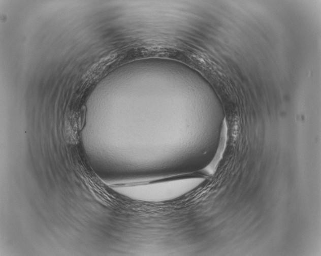 X0000087380868200705111733