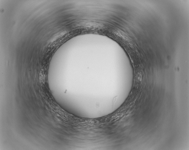 X0000087380869200705111733