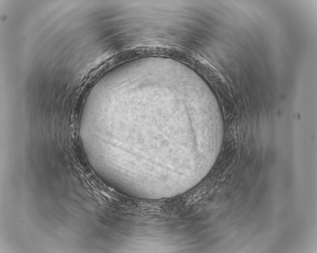 X0000087380870200705111733