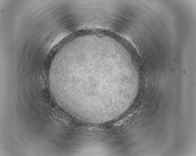 X0000087380871200705111733