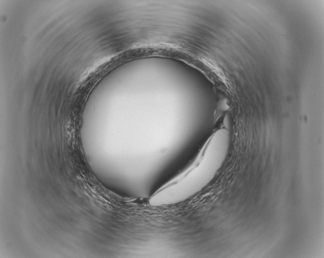 X0000087380872200705111733