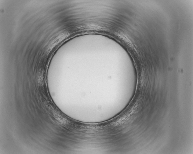 X0000087380873200705111733