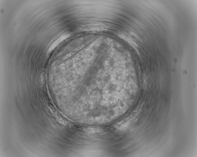 X0000087380874200705111733