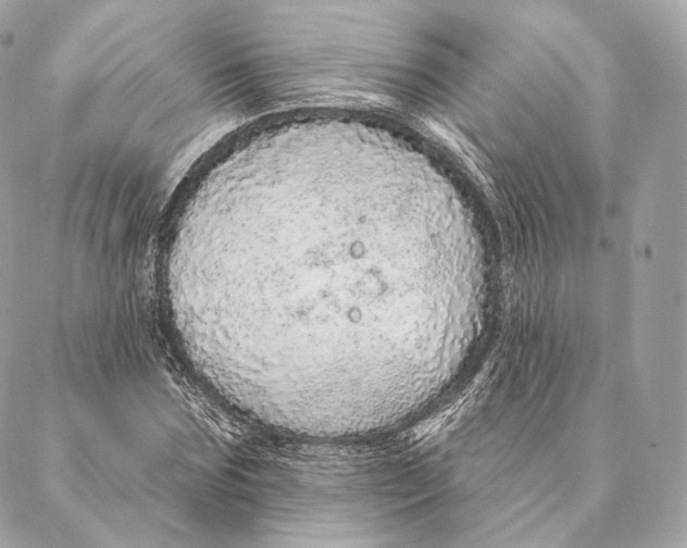 X0000087380875200705111733