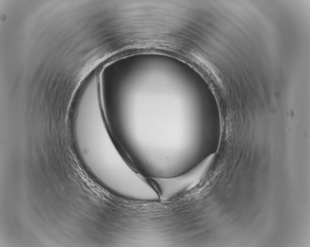 X0000087380876200705111733