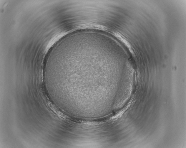 X0000087380877200705111733