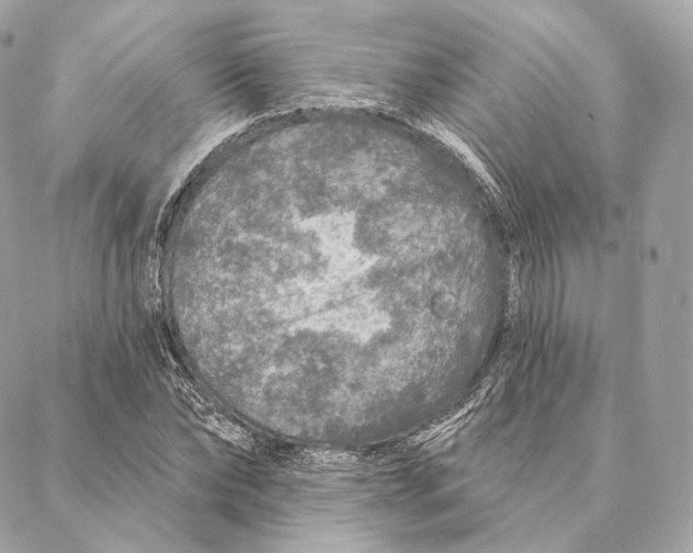 X0000087380878200705111733