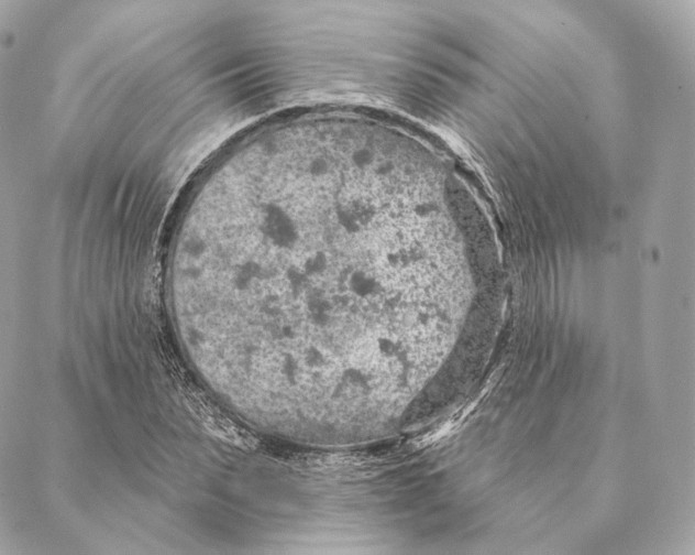 X0000087380879200705111733