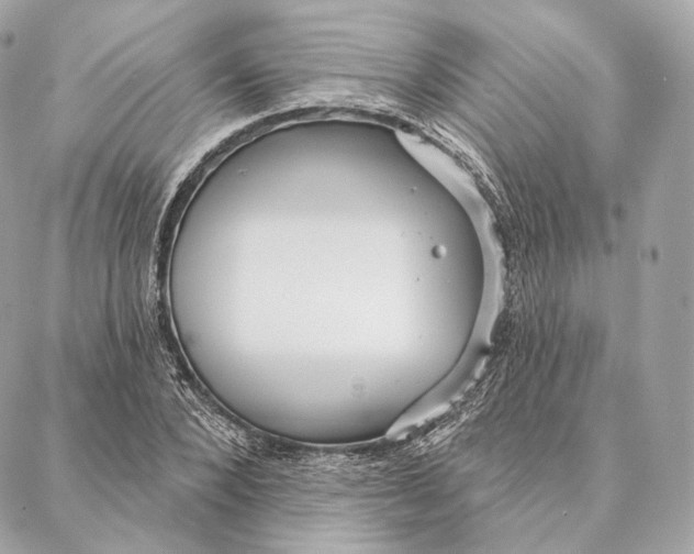 X0000087380880200705111733