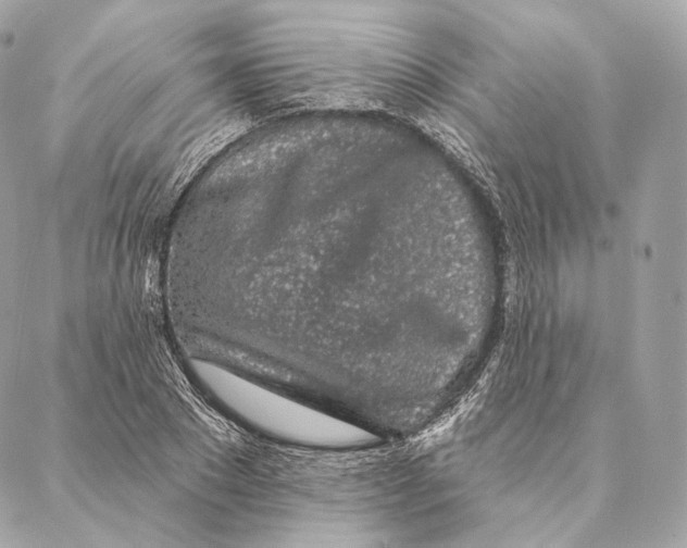 X0000087380881200705111733