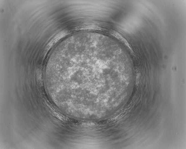 X0000087380882200705111733