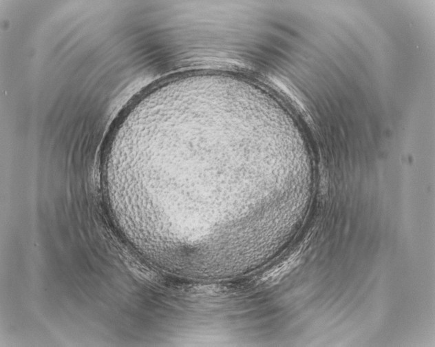 X0000087380883200705111733