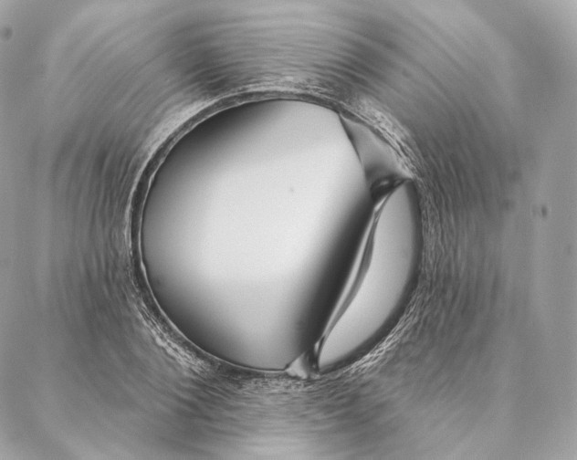 X0000087380884200705111733