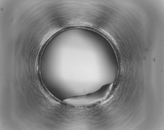 X0000087380885200705111733