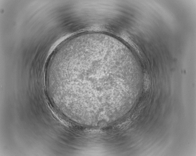 X0000087380886200705111733