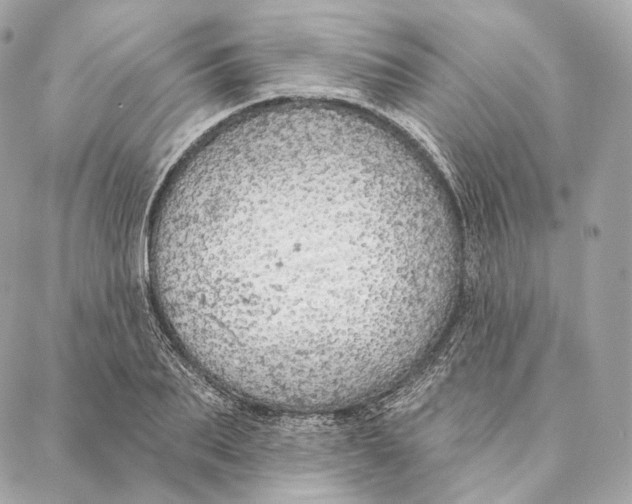 X0000087380887200705111733