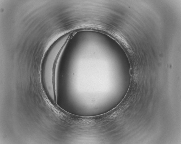 X0000087380888200705111733