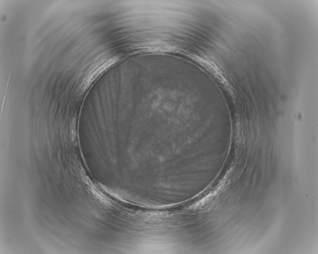 X0000087380889200705111733