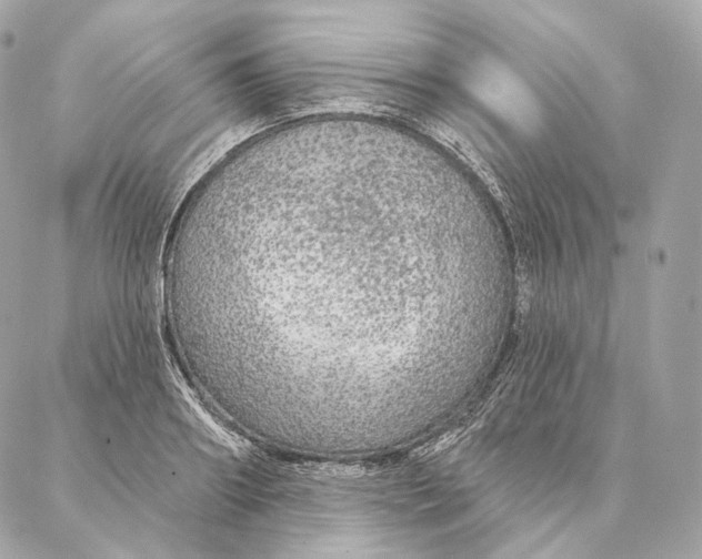 X0000087380890200705111732