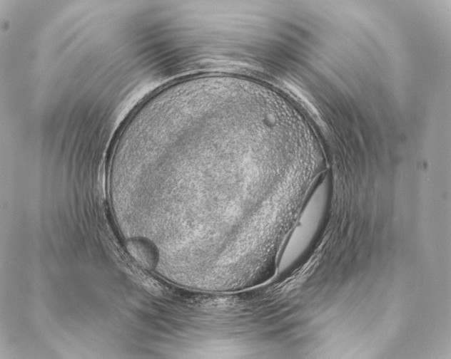 X0000087380891200705111732