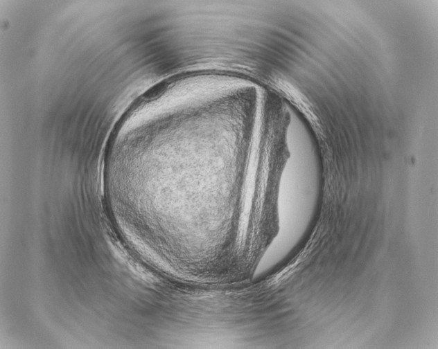 X0000087380892200705111732