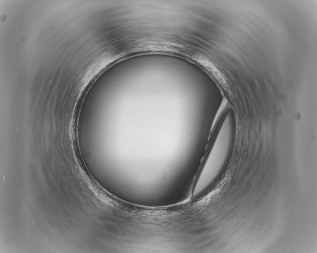 X0000087380893200705111732