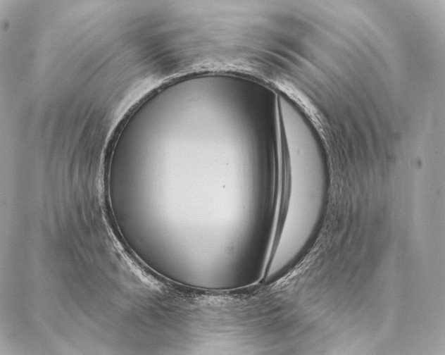 X0000087380894200705111732