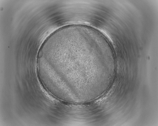 X0000087380895200705111732