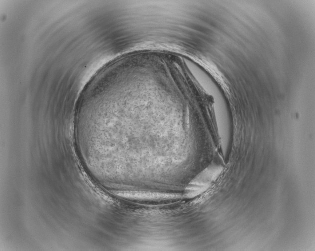 X0000087380896200705111732