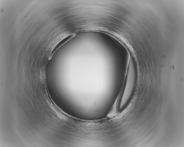 X0000087380897200705111732