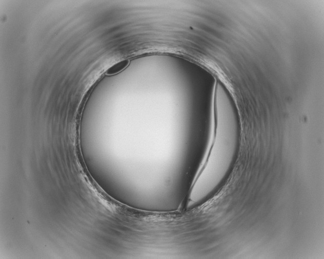 X0000087380898200705111732