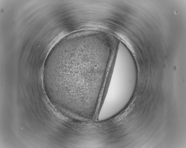 X0000087380899200705111732